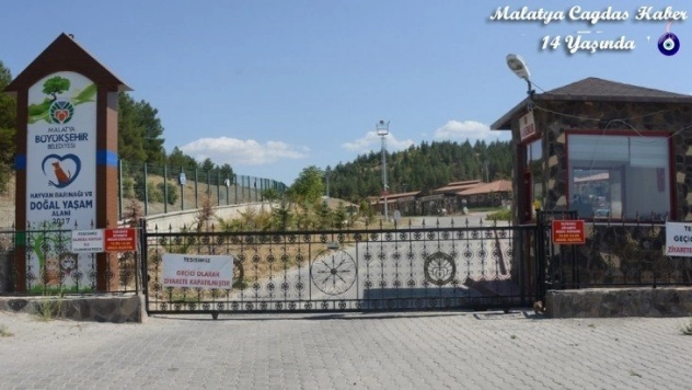 Sokak hayvanlarına şefkat eli