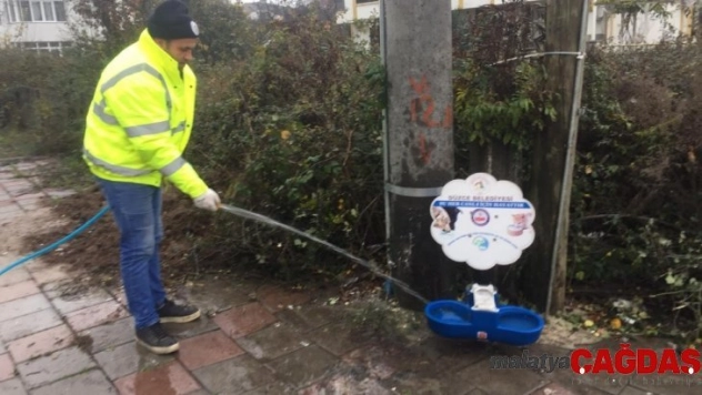 Sokak hayvanlarının mamalıkları temizlendi