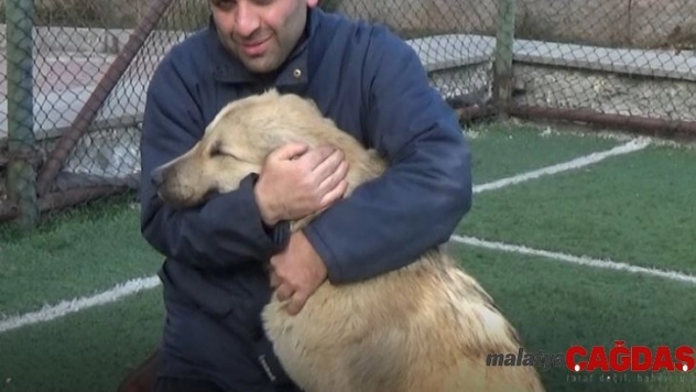 Sokak köpeğini sopayla kovalarken çekilen görüntüleri sosyal medyada yayılınca önce köpekten sonra herkesten özür diledi