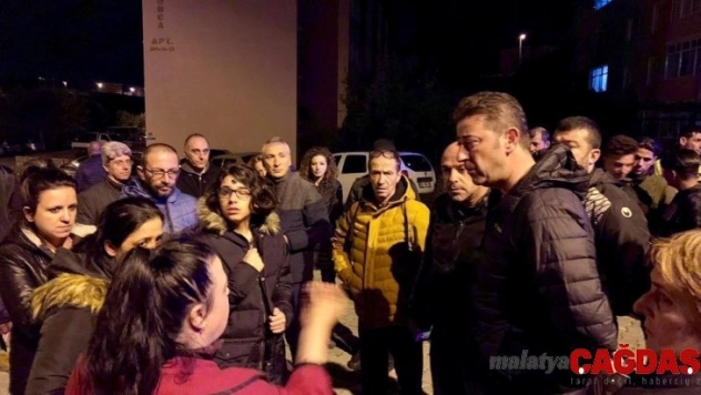 Sokak köpeklerini zehirlediler