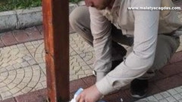 Sokaklara hayvanlar için süt bırakıldı