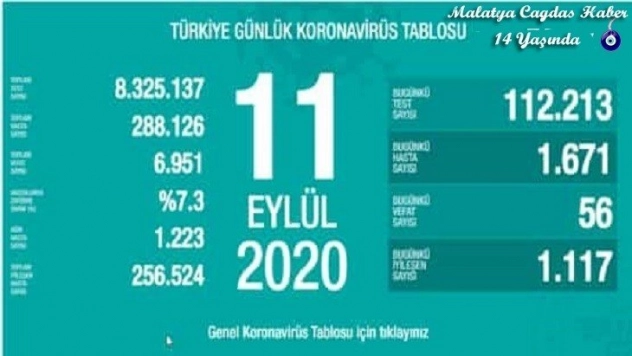 Son 24 saatte korona virüsten 56 kişi hayatını kaybetti