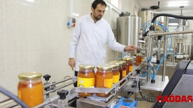 Son yıllarda yaşanan iklim değişikliği bal üretimini olumsuz etkiliyor