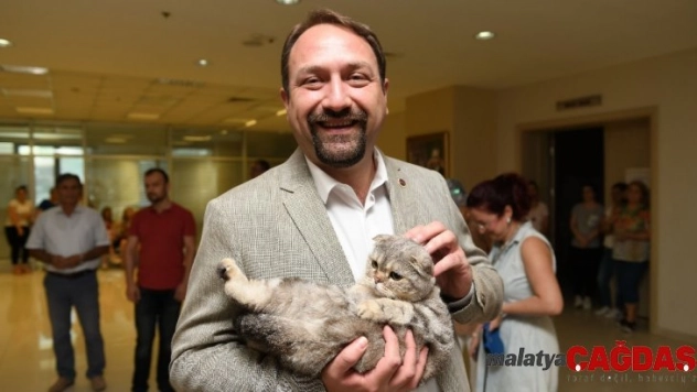 Sosyal tesislerin gıda fazlası ürünleri kedi ve köpeklere