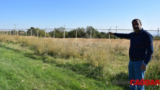 Stat ilgisizlikten meraya döndü