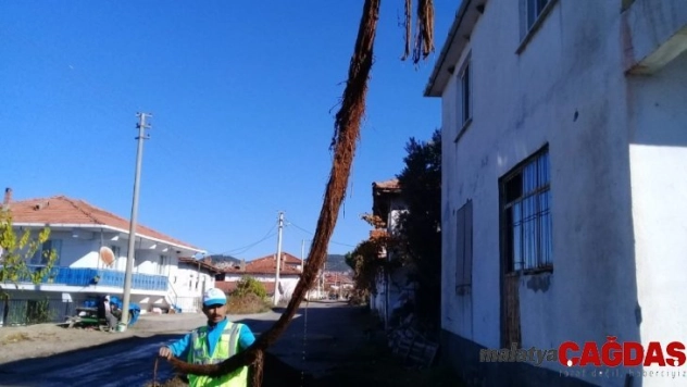 Su borusundan çıkan 6 metrelik ağaç kökü şaşırttı