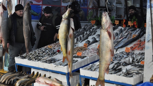 Su ürünleri av sezonu bugün sona eriyor