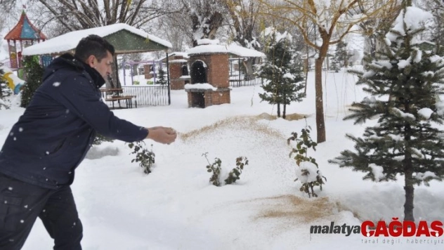 Şuhut Belediyesi sokak hayvanlarını unutmadı