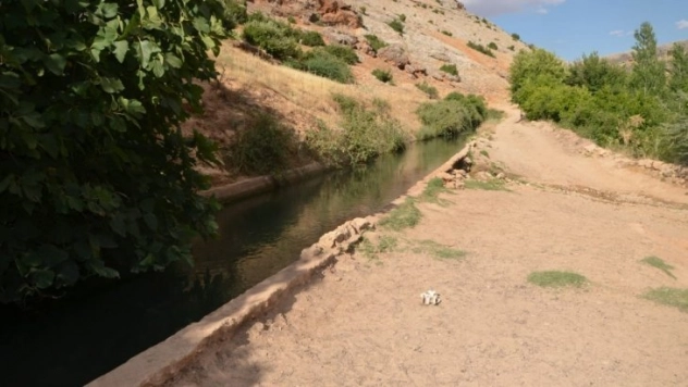 5 yaşındaki çocuk hayatını kaybetti