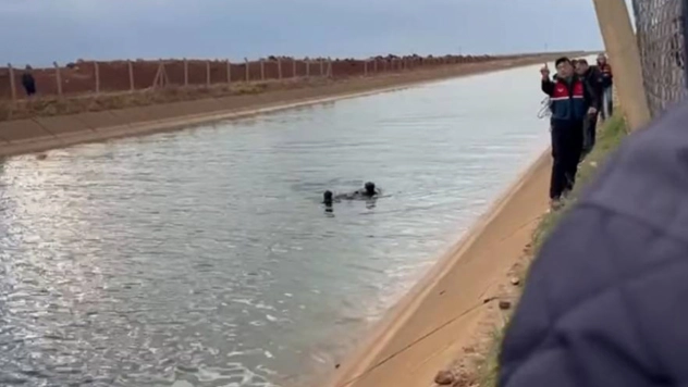Sulama kanalına düşen çoban hayatını kaybetti