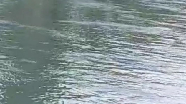 Sulama kanalına düşen kadını vatandaşlar kurtardı