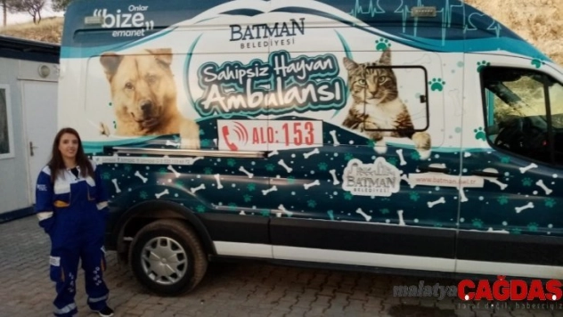 Sular altında kalacak olan Hasankeyf'te sokak hayvanları taşınıyor