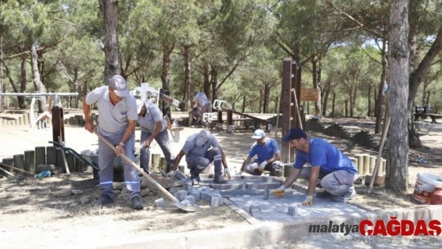 Sultangazi Belediyesinden yeşil alanlara bakım