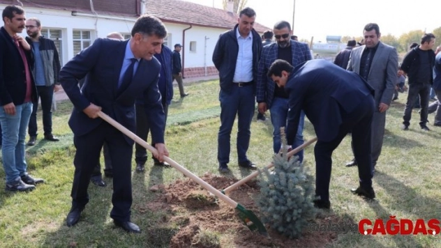 Sultansuyu Harası'nda 3 bin fidan toprakla buluştu