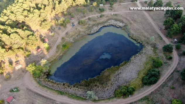 Sülük hırsızları köylüyü canından bezdirdi