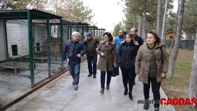 Sungurlu Belediye'si hayvan bakımevi kuracak