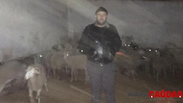 Şüpheli araçtan 35 çalıntı koyun çıktı