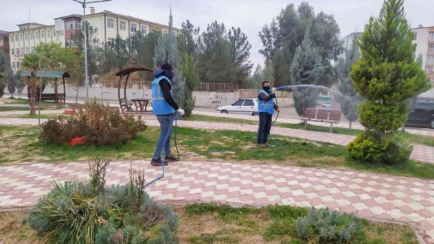 Suriye sınırında şark çıbanı alarmı