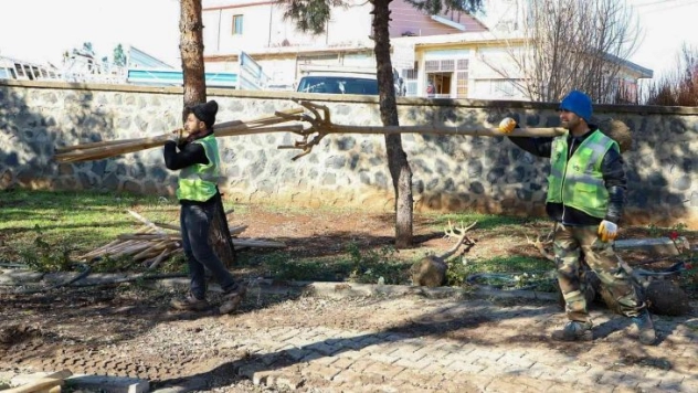 Süryani Kadim Mezarlığı ağaçlandırıldı