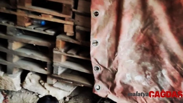 Tahta paletlerin altında sıkışan köpek itfaiye tarafından kurtarıldı