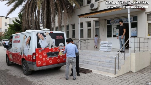 Tam kapanmada sokak hayvanları unutulmadı