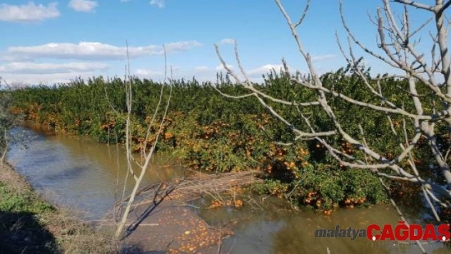 Tarım arazileri felaketin eşiğinden döndü