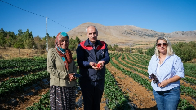 Tarım Arazilerinin Etkin Kullanımı Projesi Meyvelerini Veriyor