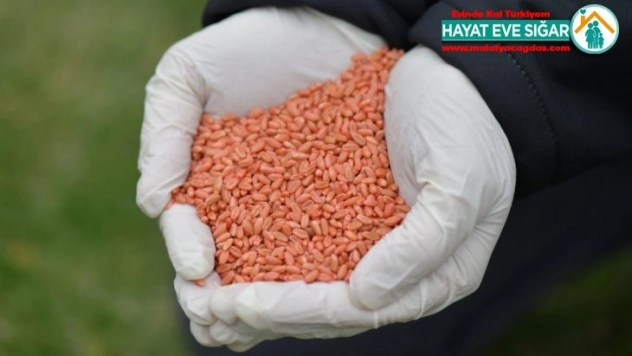 Tarım ve Orman Bakanlığı ekilebilir tüm arazileri üretime katmak için harekete geçti