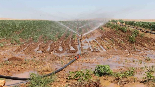 Tarımsal sulamada kaçak elektrik tüketimi alarm veriyor