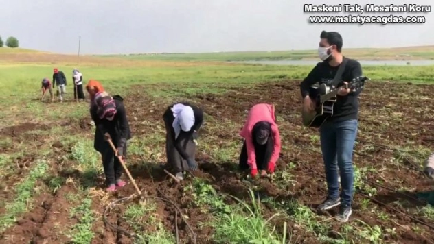 Tarlada çalışan işçi annelere konser