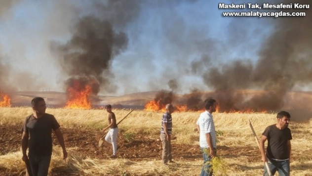 Tarlada çıkan yangın korkuttu