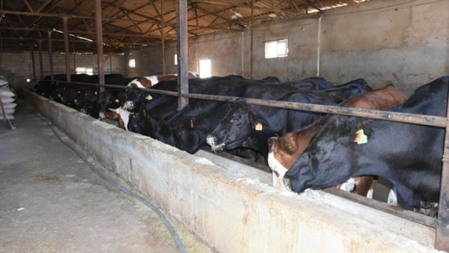 TARSİM ve Bakım Giderleri Bakanlık Tarafından Karşılanacak