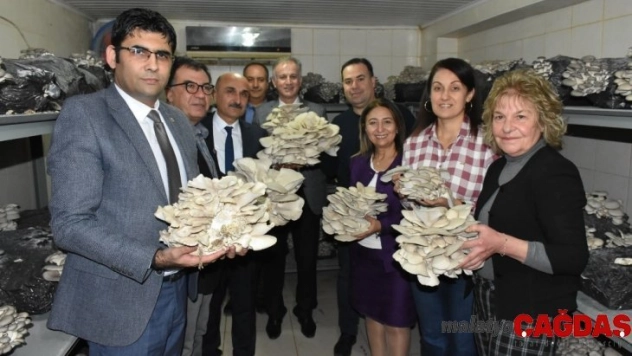 Tarsus Belediyesi tesislerinde mantar hasadı yapıldı