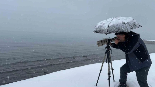 Tatvan'a kış ortasında kuş akını