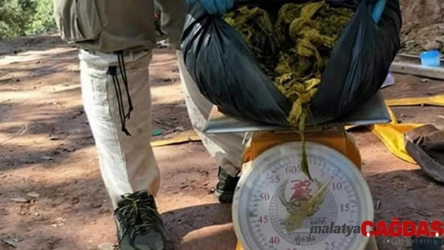 Tayland'ta geyiğin midesinden 7 kilogram çöp çıktı