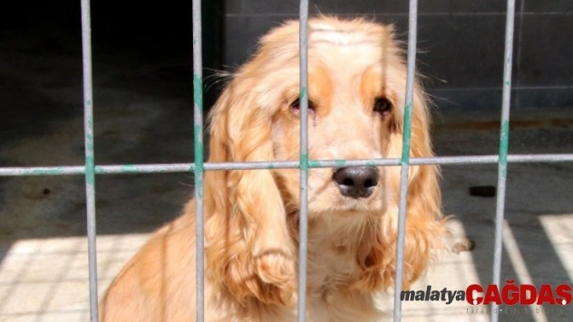 Terk etmek için bahane çok