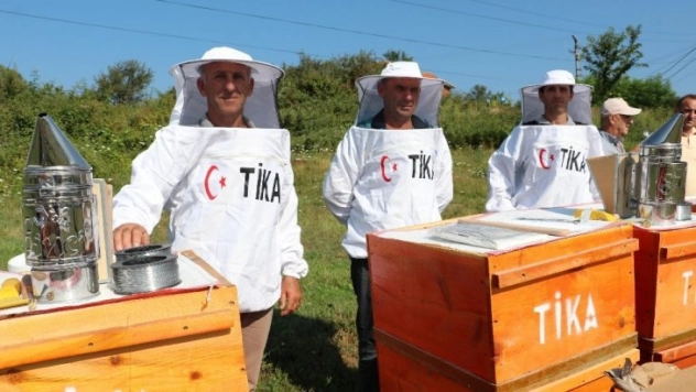 TİKA'dan Arnavutluk'a arıcılık alanında destek