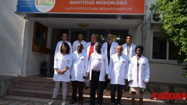 TİKA'dan Kenyalı uzmanlara Mersin'de Narenciye tarımı eğitimi