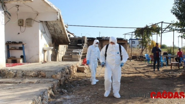 Tilki nedeniyle köy karantinaya alındı