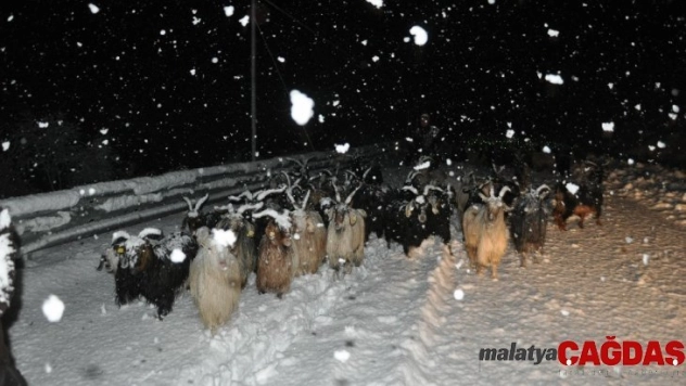Tipide zorlu eve dönüş