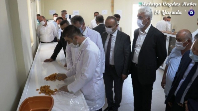 TMO ilk kayısı alımını yaptı