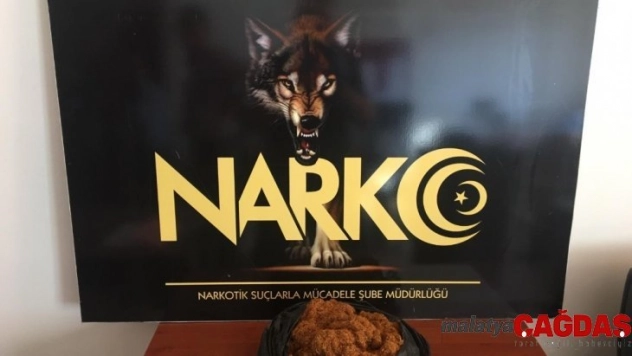 Toprağa gömülü  bonzai ele geçirildi