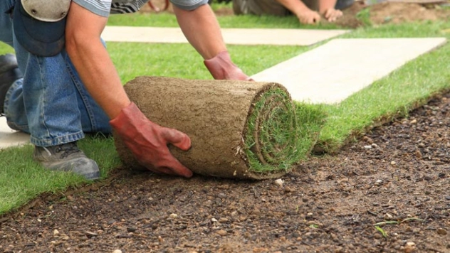 Toprak Peyzaj'dan Yeşil Alanlara Pratik Çözüm: Hazır Rulo Çim Hizmeti