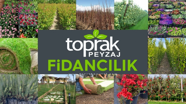Toprak Peyzaj Yeni Sezonu Sertifikalı Fidan ve Süs Bitkileriyle Karşılıyor