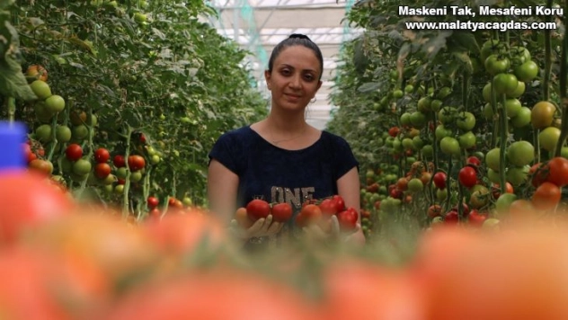 Topraksız tarım hem kadınlara iş kapısı oldu, hem de yılın 10 ayında üretim yapılmaya başlandı