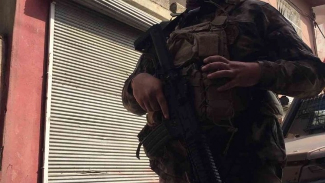 Torbacının pitbullarına polis el koydu