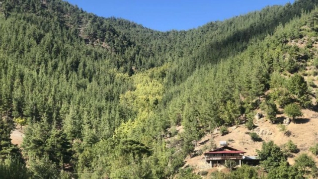 Toroslar'da sonbahar manzaraları görsel şölen oluşturuyor