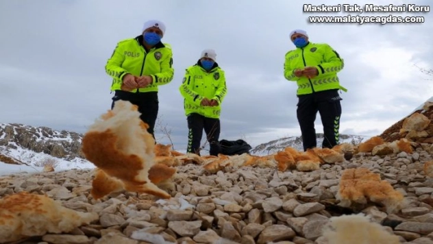 Trafik polisleri hayvanlar için doğaya yem bıraktı