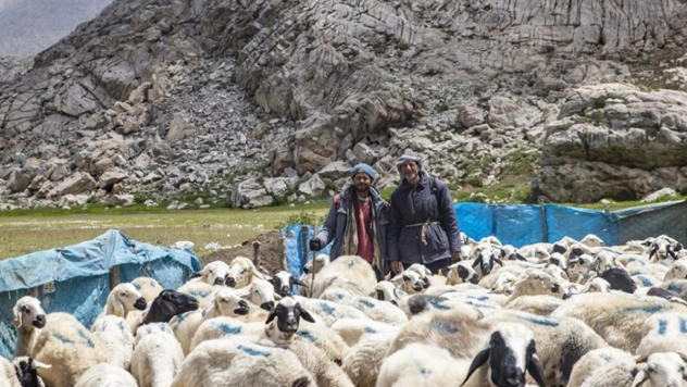 Tunceli Yaylalarında Zorlu Mesai: Göçerler Doğal Peynir Üretimiyle Geçimini Sağlıyor
