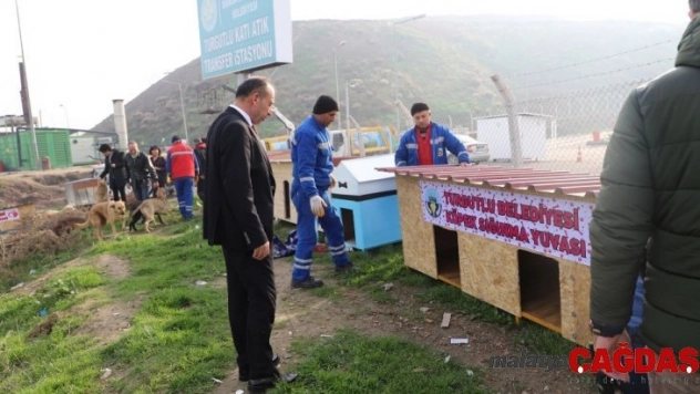 Turgutlu Belediyesinden sahipsiz canlılar için sığınma yuvası